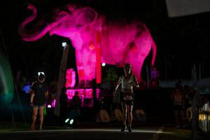 BIB: 
                            <button type="button" onclick="openModal(26530662)" class="btn btn-primary btn-sm float-right btn-popup" data-toggle="modal" data-target=".modal-high-quality">
                        <i class="fas fa-shopping-cart"></i> Add to Cart
                    </button>
                                            <button type="button" onclick="isThisMe(26530662, true)" class="btn btn-success btn-sm float-right btn-popup btn-isme hidden" data-toggle="tooltip" data-placement="bottom" title="นี่คือรูปของคุณใช่ไหม คลิกที่นี่เพื่อเอาเข้าอัลบั้ม">
                        <i class="fas fa-plus"></i> Add to album
                    </button>
                    <button type="button" onclick="isThisMe(26530662, false)" class="btn btn-warning btn-sm float-right btn-popup btn-isnotme hidden">
                        <i class="fas fa-ban"></i> Remove from album
                    </button>